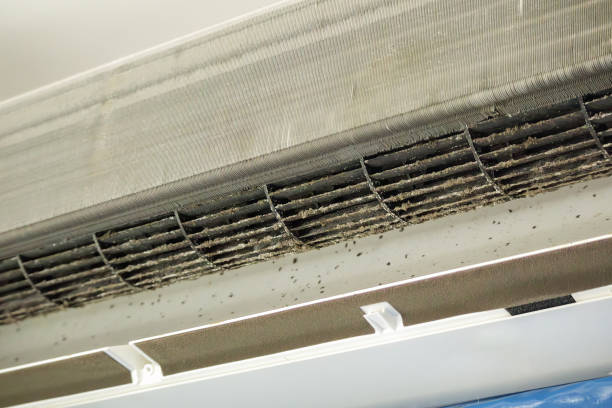 Best Air Duct Cleaning Near Me  in Kalifornsky, AK